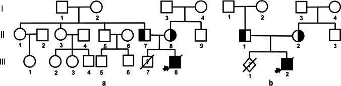 Fig.1