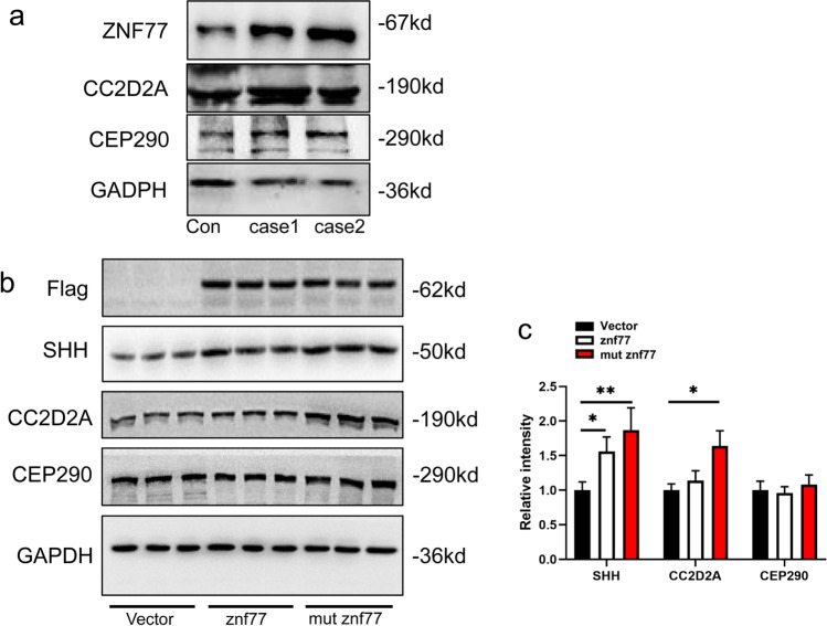 Fig.6