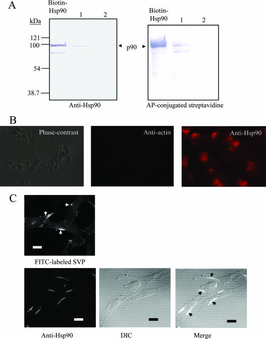 FIG. 6.