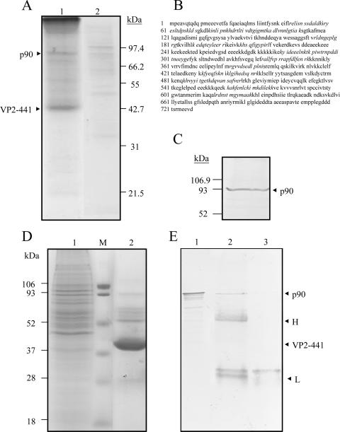 FIG. 5.