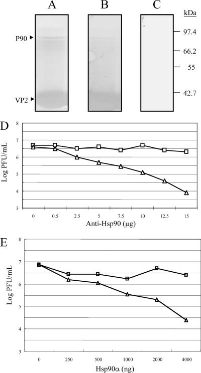 FIG. 7.