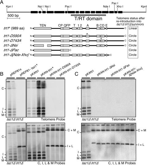 FIG. 4.