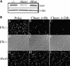 Figure 10.