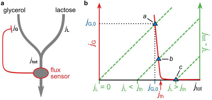 Extended Data Figure 5.