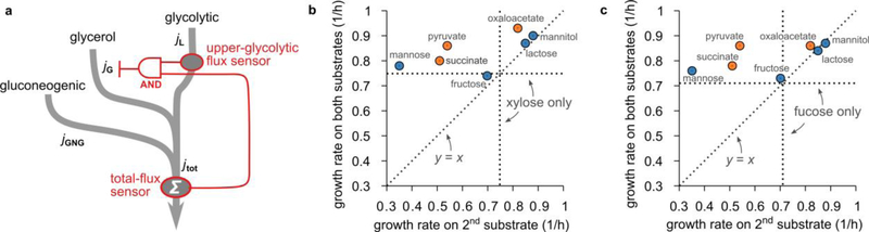 Extended Data Figure 7.