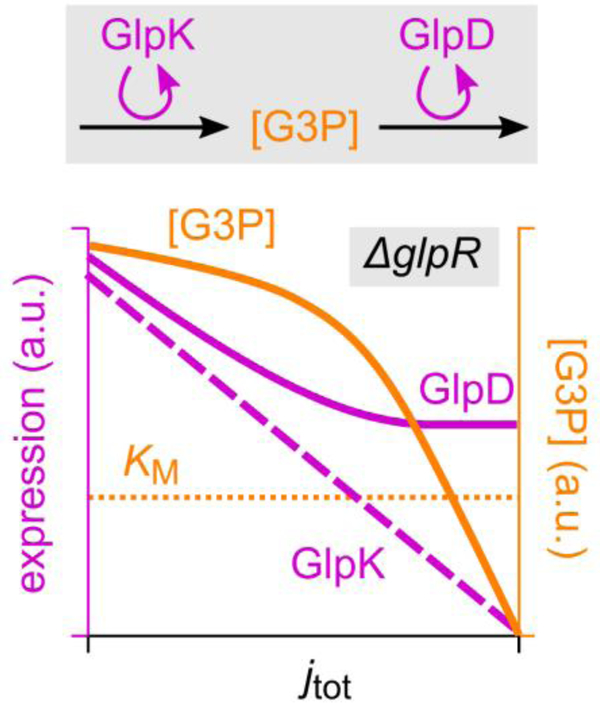 Extended Data Figure 4.