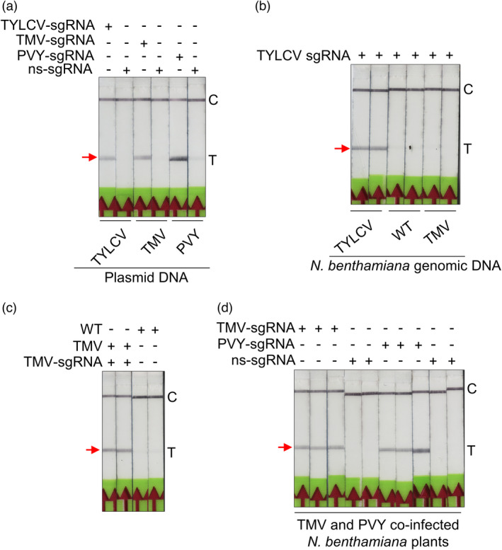 Figure 4