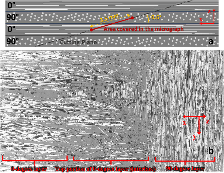 Figure 25.
