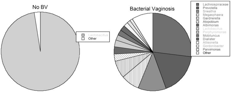 Fig. (1)