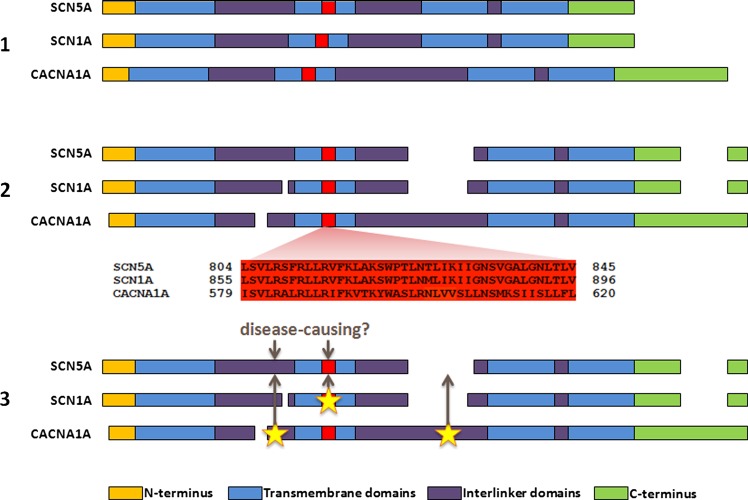 Figure 1