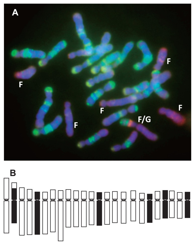 Fig. 7