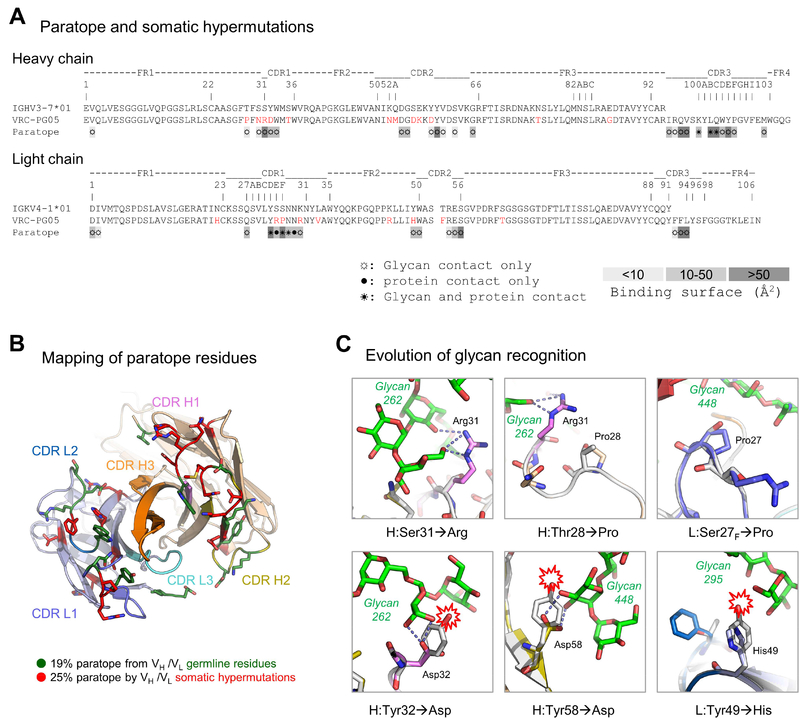 Figure 6.