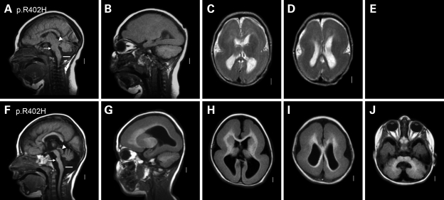 Figure 2.