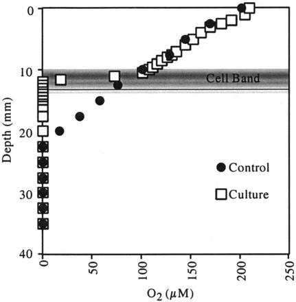 FIG. 5.