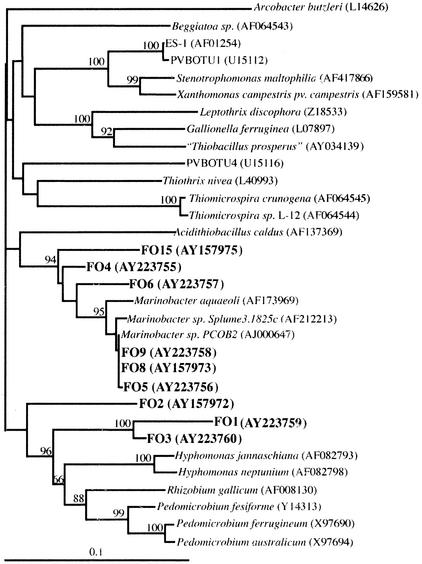 FIG. 8.