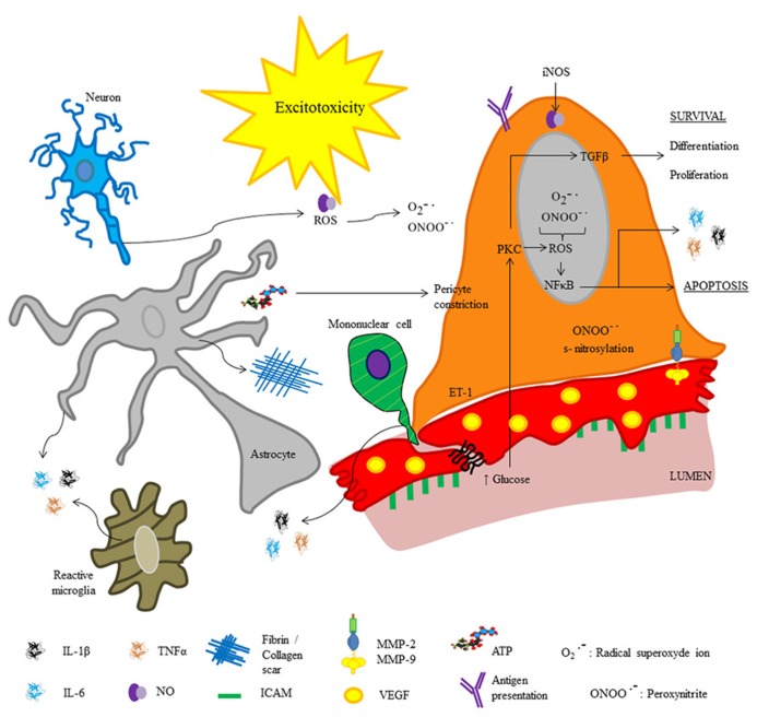 FIGURE 3