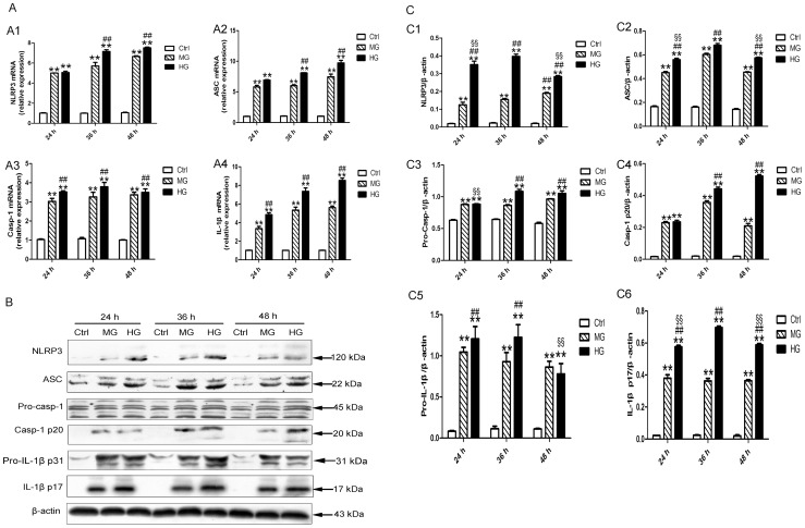 Figure 6