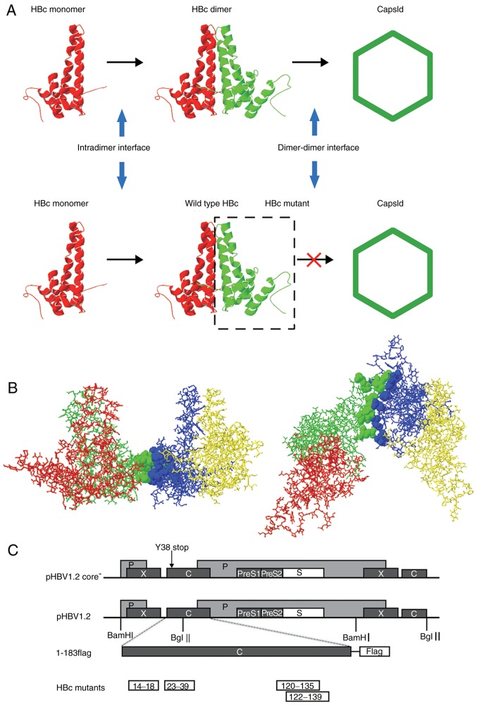 Figure 1.