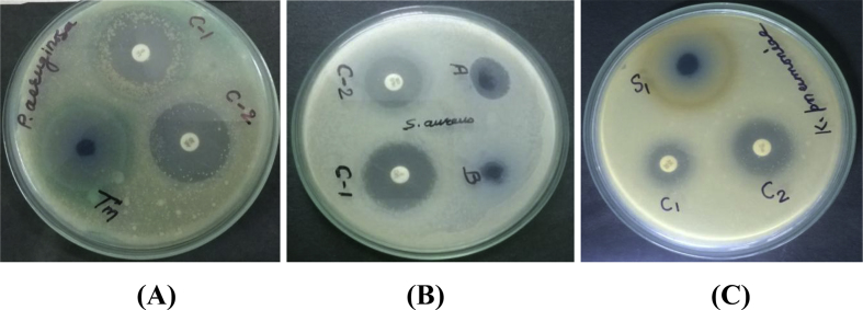 Fig. 6