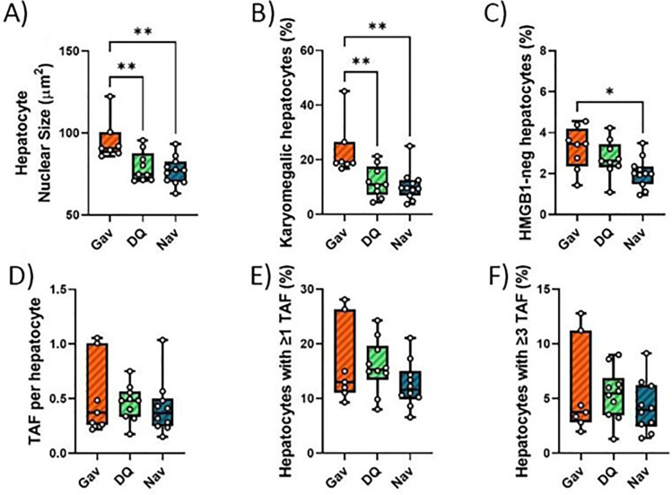 Figure 2—figure supplement 3.