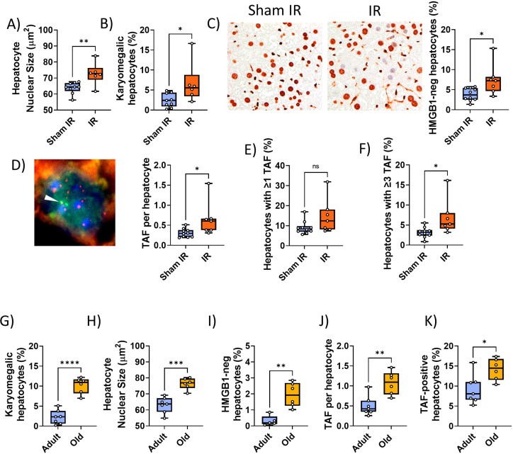 Figure 1—figure supplement 4.