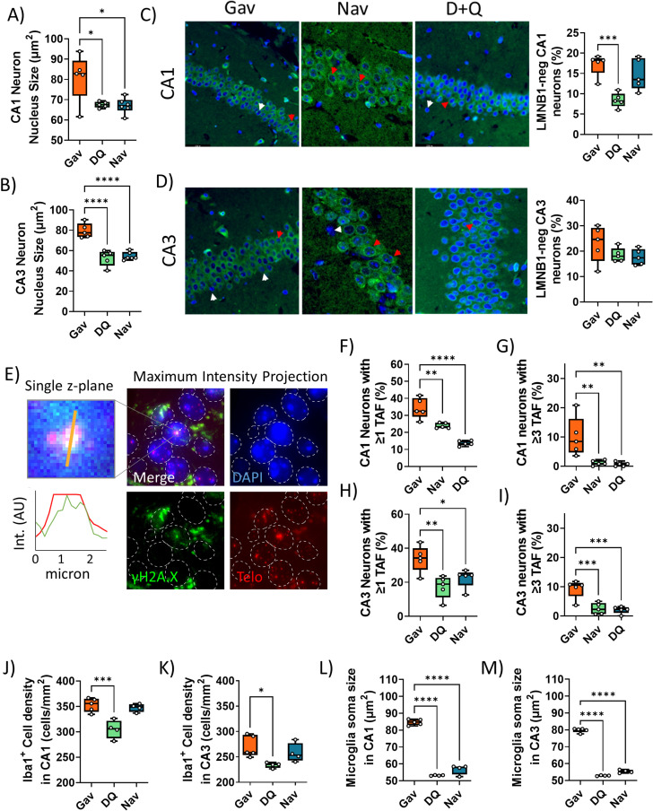 Figure 1—figure supplement 6.