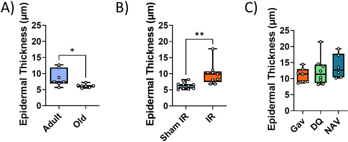 Figure 1—figure supplement 3.