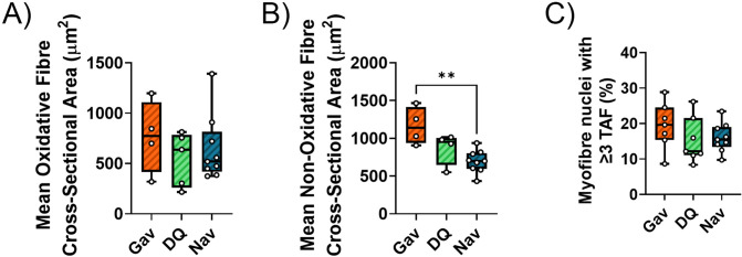 Figure 2—figure supplement 4.