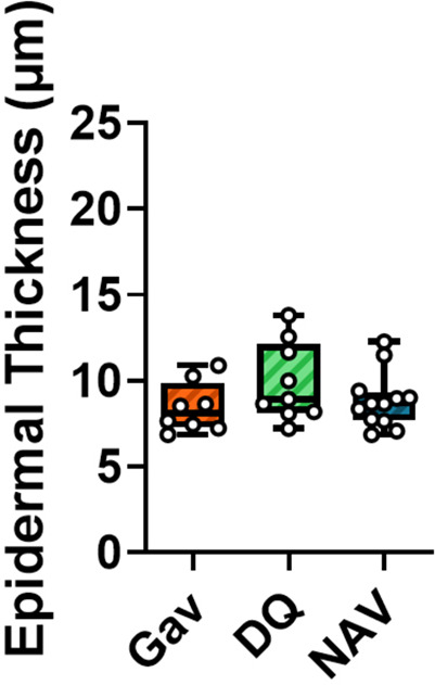 Figure 2—figure supplement 2.