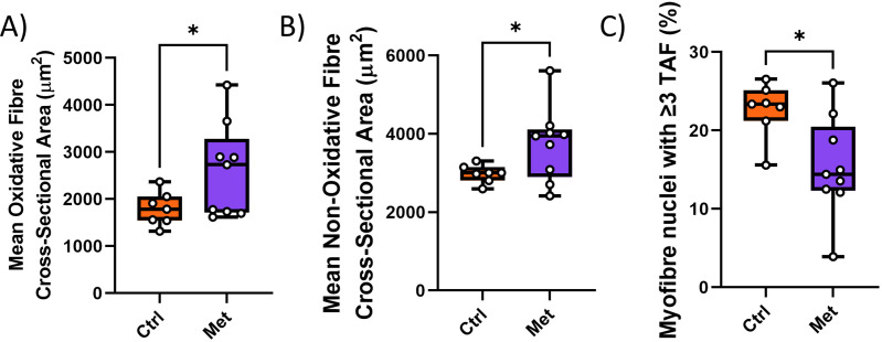 Figure 3—figure supplement 5.