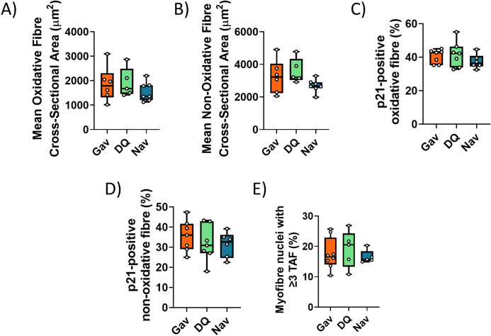 Figure 1—figure supplement 7.