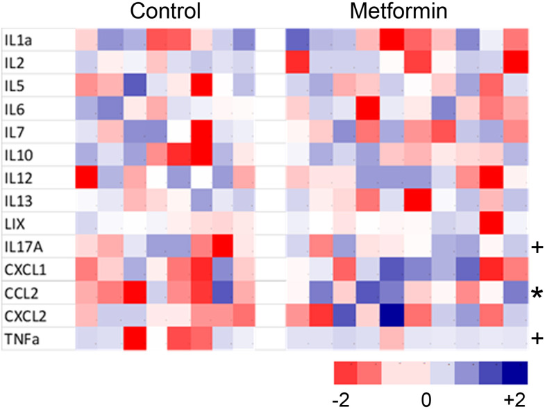 Figure 3—figure supplement 6.