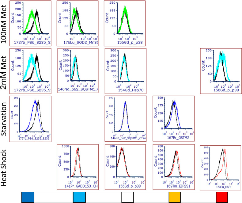 Figure 5—figure supplement 1.