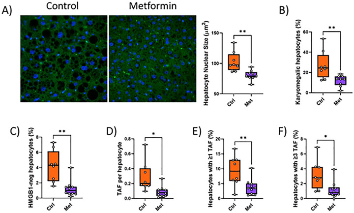 Figure 3—figure supplement 3.