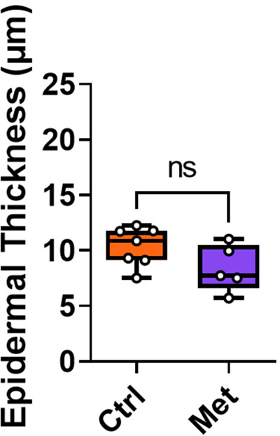 Figure 3—figure supplement 2.