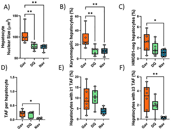 Figure 1—figure supplement 5.