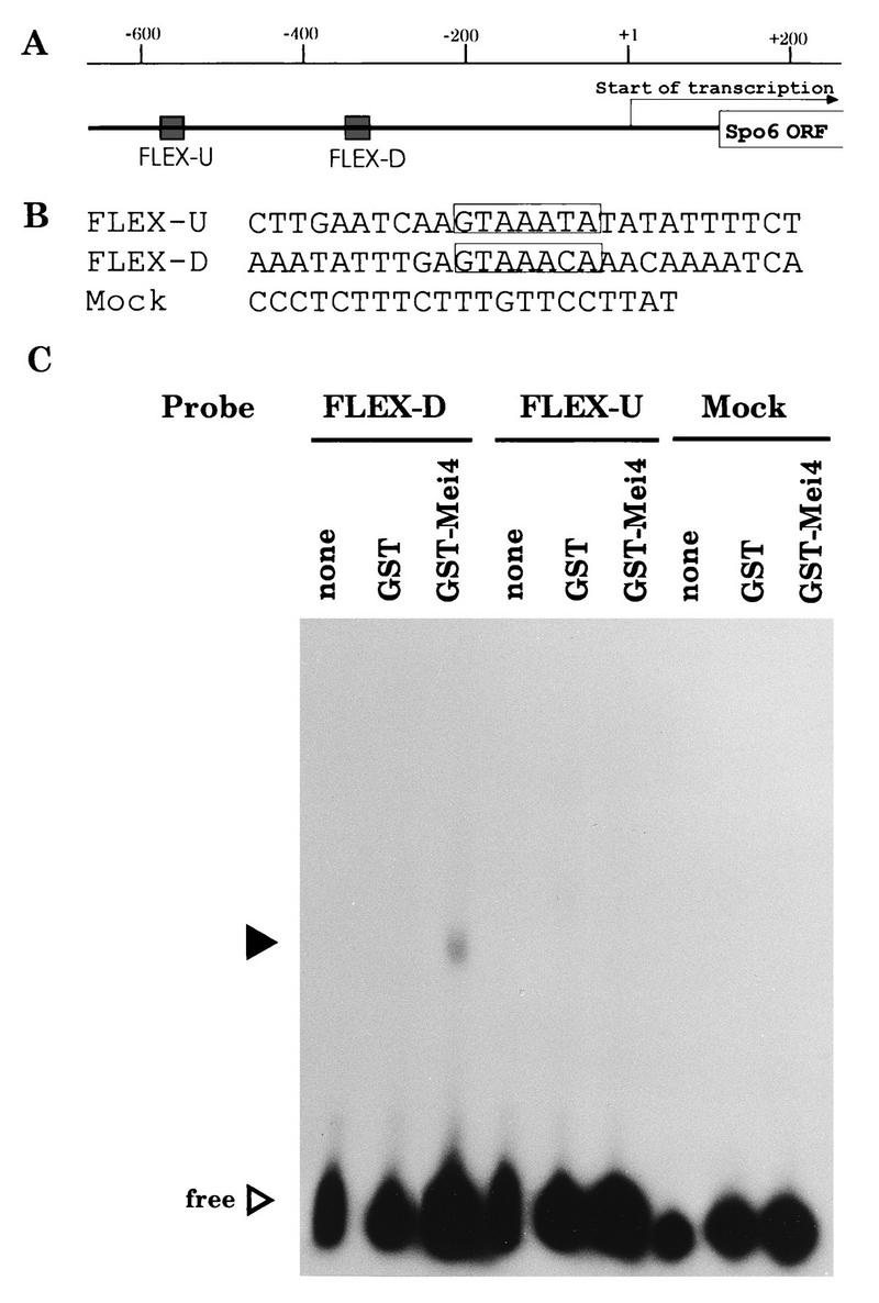 FIG. 6