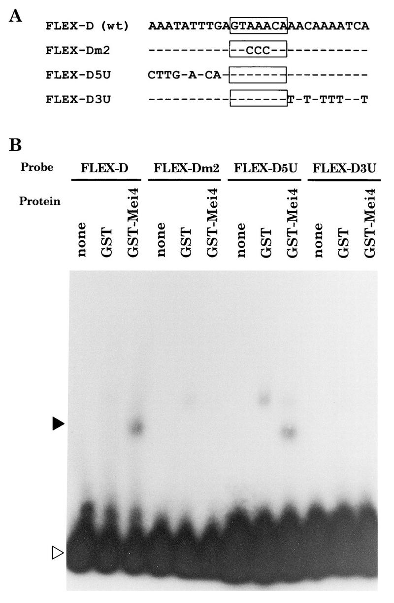 FIG. 8