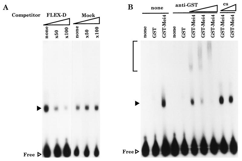 FIG. 7