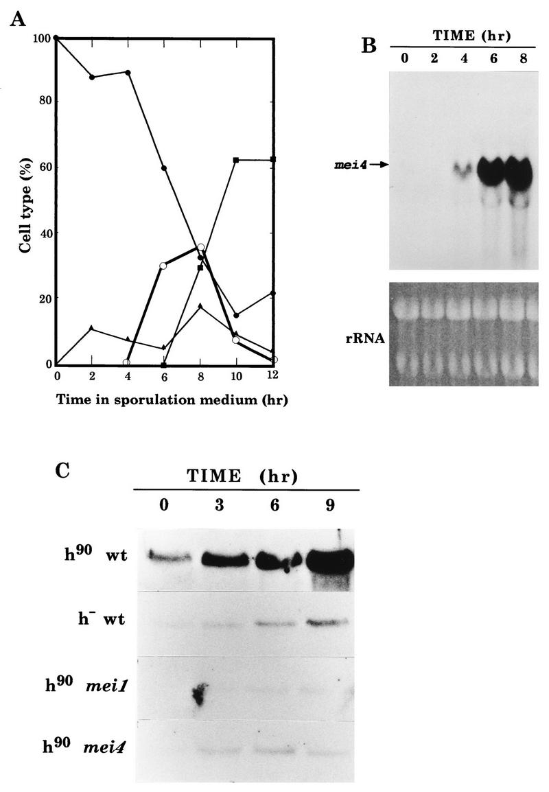 FIG. 3