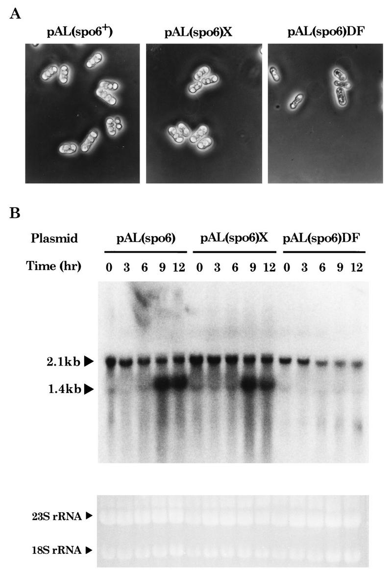 FIG. 9