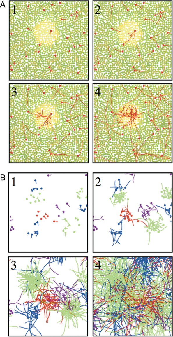 Figure 9.