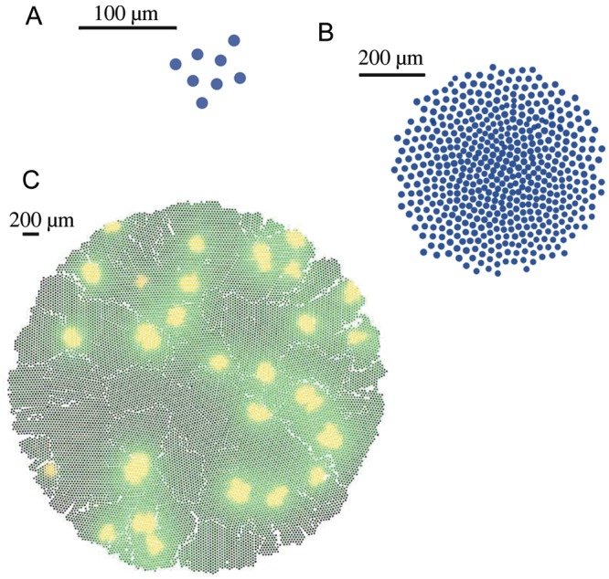 Figure 5.