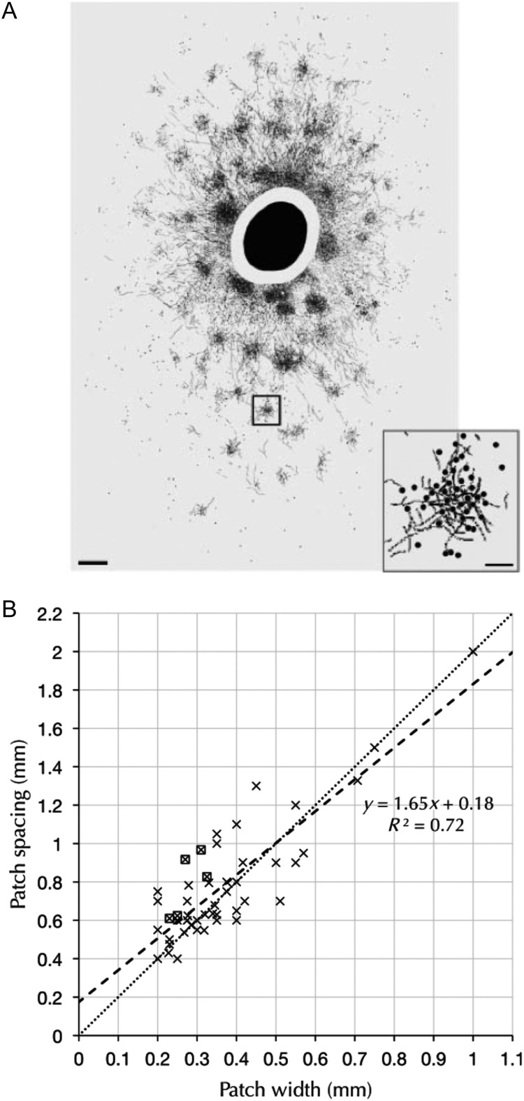 Figure 1.