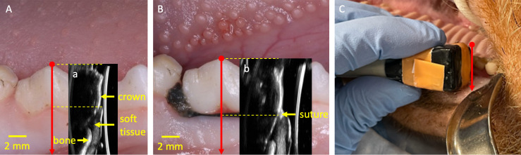 Figure 1.