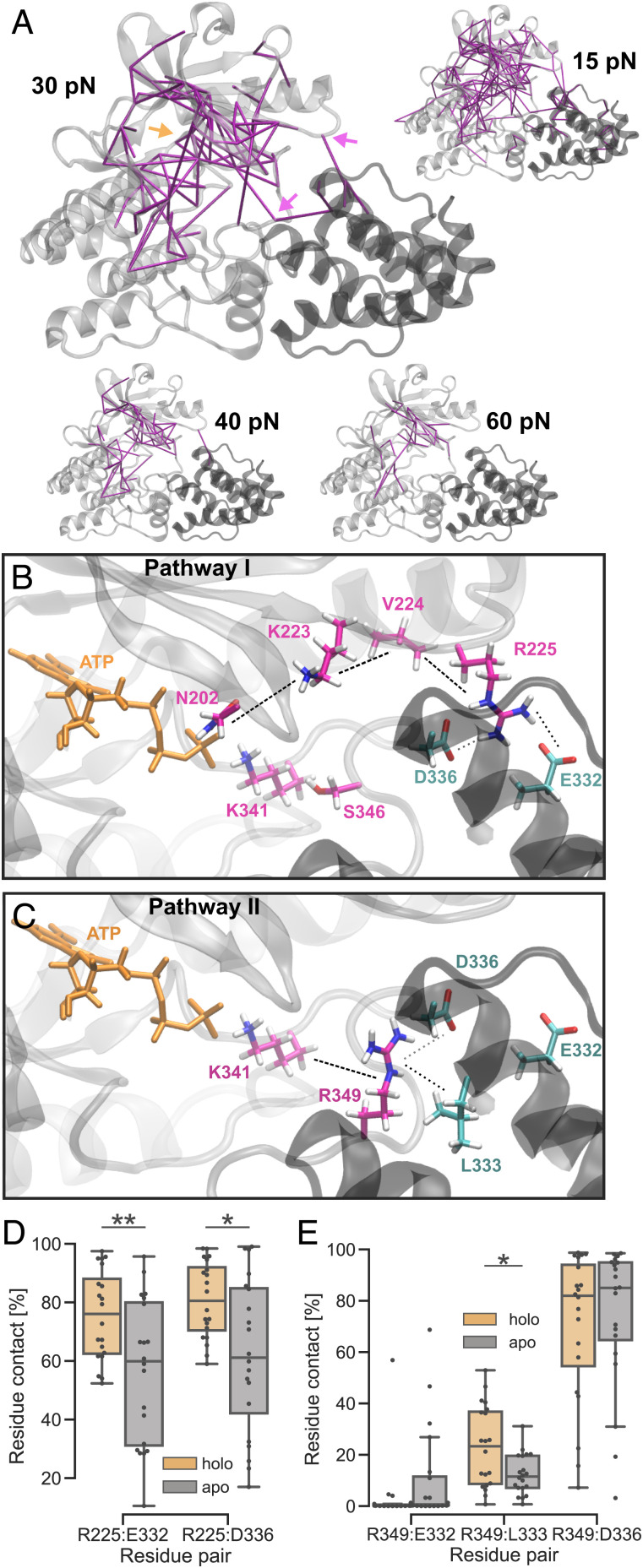 Fig. 3.