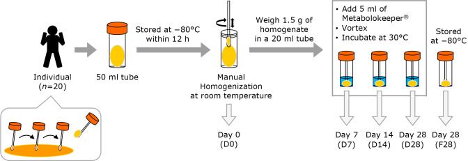 Fig. 1.