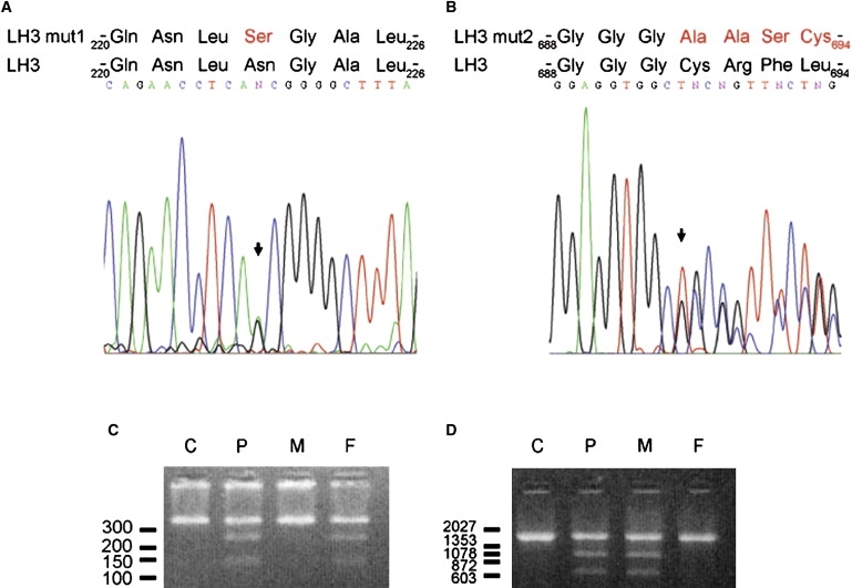 Figure 5