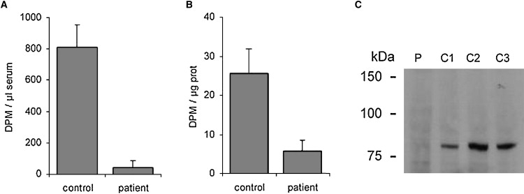 Figure 4