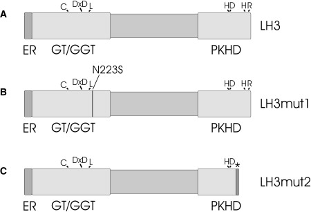 Figure 6